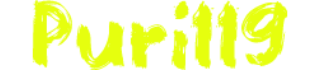 Puri119